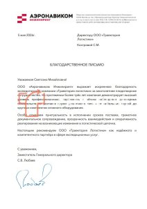 Аэронавиком